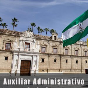 Auxiliar Administrativo de Corporaciones Locales - Producto de pruebas - No comprar