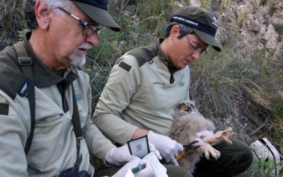 Listas de admitidos en las oposiciones de Agentes de Medio Ambiente en Andalucía