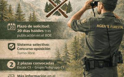 Convocatoria de oposiciones para 2 plazas de Agente Forestal y Medioambiental en Frigiliana