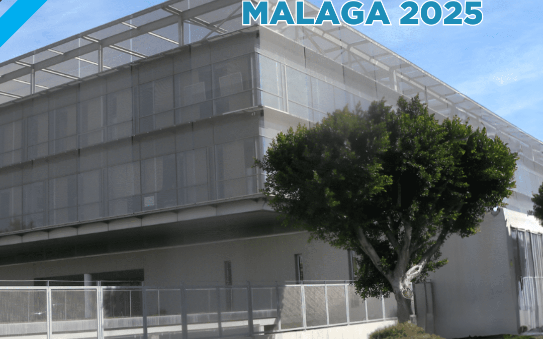 APROBADA LA OFERTA DE EMPLEO PÚBLICO DE LA DIPUTACIÓN DE MÁLAGA 2025